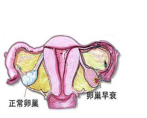 乌克兰代生宝宝网,乌克兰试管婴儿移植后注意这些事项,可提高25%成功率-到医院