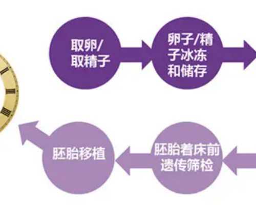 乌克兰私人代孕套餐,乌克兰ilaya医院:生物技术在试管助孕上的重大成就_西安