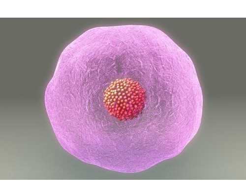 乌克兰正规代生医院,试管移植后胚胎着床有哪些症状?-乌克兰辅助生殖医院排