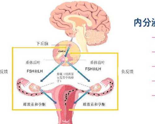 乌克兰找人做代生多少钱,基因缺陷想去香港做三代试管，但不知道那的医院做