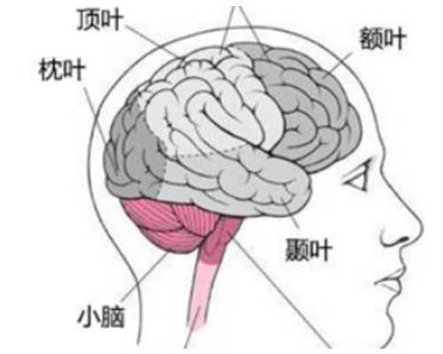 乌克兰玛丽塔靠谱吗,做试管婴儿打促排卵针，打促排卵针三天，激素值是3000，