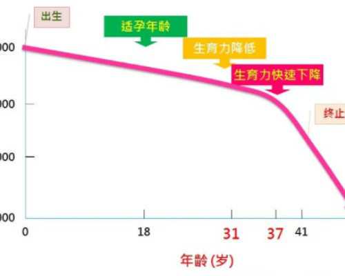 乌克兰哪家医院产子好,2026
北京供卵三代试管婴儿多少钱，附供卵费用明细清单
