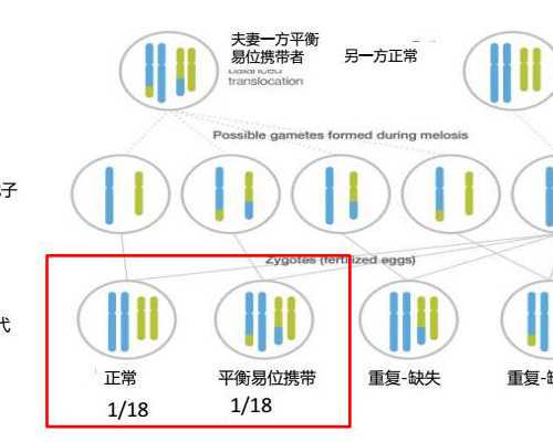 备孕能不能吃泡面
