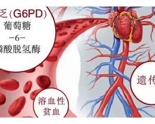 乌克兰金贝供卵试管的价格,大龄女性去美国做试管婴儿，一般需要几个周期？