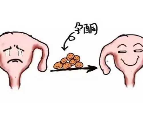 2026
急找乌克兰代妈费用,北京供卵试管机构排名最新-怀孕初期有生男生女的预