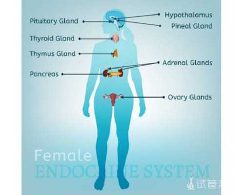 乌克兰高龄借卵价格,做试管婴儿不能吃什么东西:宫颈炎-深圳专业供卵机构靠谱