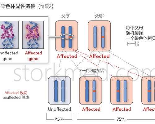 乌克兰供卵生下孩子后的感受,北京靠谱的私立供卵试管医院排行榜,附助孕机